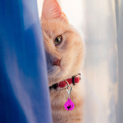 Cat wearing a collar with a Blmhtwo bell pendant