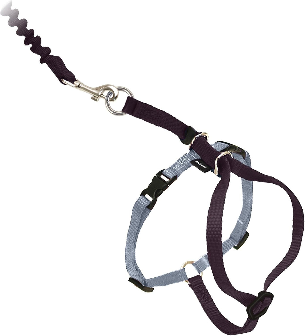 PetSafe Come With Me Kitty Harness and Bungee Cat Leash, Lilac, Medium - Image 14
