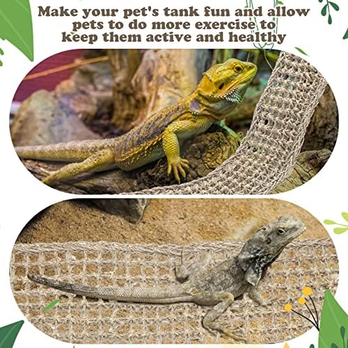 Silkfly pet habitat lounging bed positioned for bearded dragon and gecko use