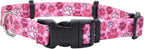 Coastal Pet SecureAway Collar Protector for Flea Collars - Adjustable pet Accessory - Protective Flea Collar for Dogs & Puppy - Red, 1" x 18-26" - Image 10