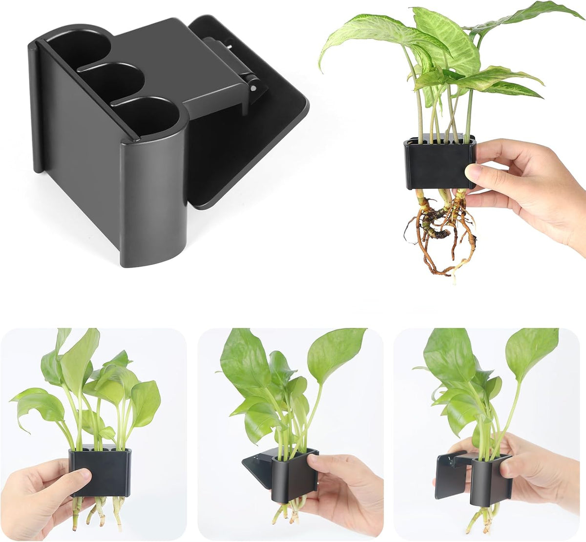 Ztzfacai hanging aquarium plant holder front view holding live pothos stems on a fish tank rim.