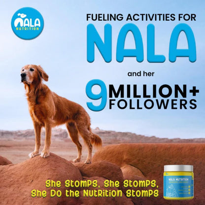 Nala Nutrition supplement packaging for joint health