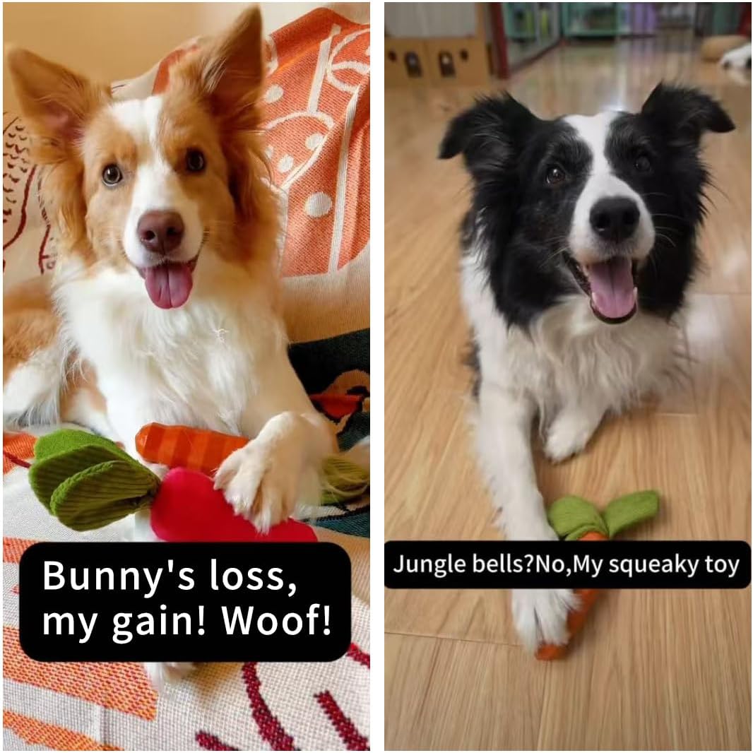 MewaJump natural rubber dog toy with crinkle leaves
