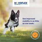 Premium USA imported dog hip and joint soft chews packaging close up.