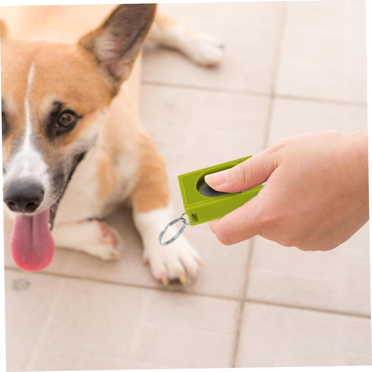 Generic compact ABS plastic clicker for bird and lizard training angle view