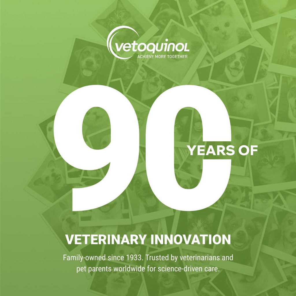Instructions for using Vetoquinol pill masker paste