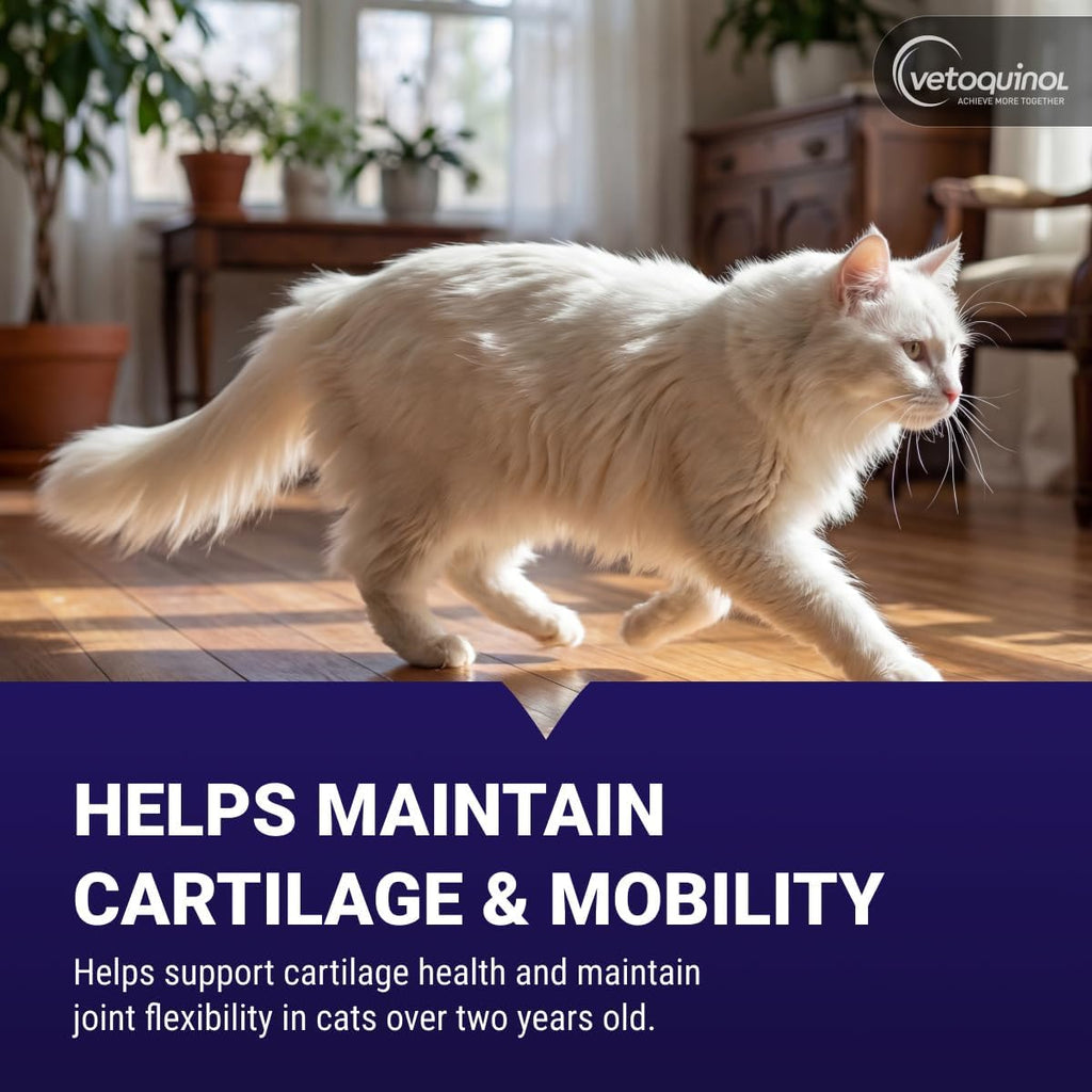 Close up of Vetoquinol Flexadin soft chews for cats
