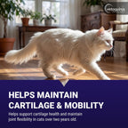 Close up of Vetoquinol Flexadin soft chews for cats
