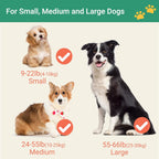 Happy and Polly dog leash flashlight attachment feature
