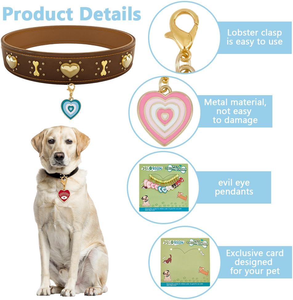 Pet collar accessory set showing lobster clasp detail