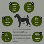 Dog surgical bodysuit alternative to e-collar cone for spay and neuter protection