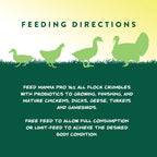 Ingredients list on Manna Pro All Flock feed packaging