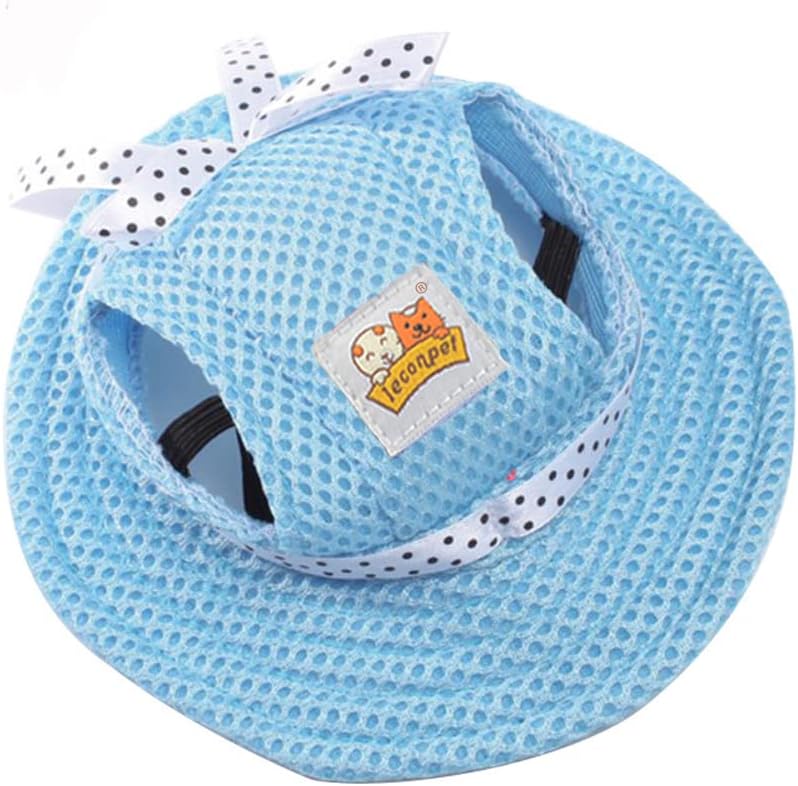 Small dog wearing striped Leconpet princess hat outdoors