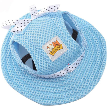 Small dog wearing striped Leconpet princess hat outdoors