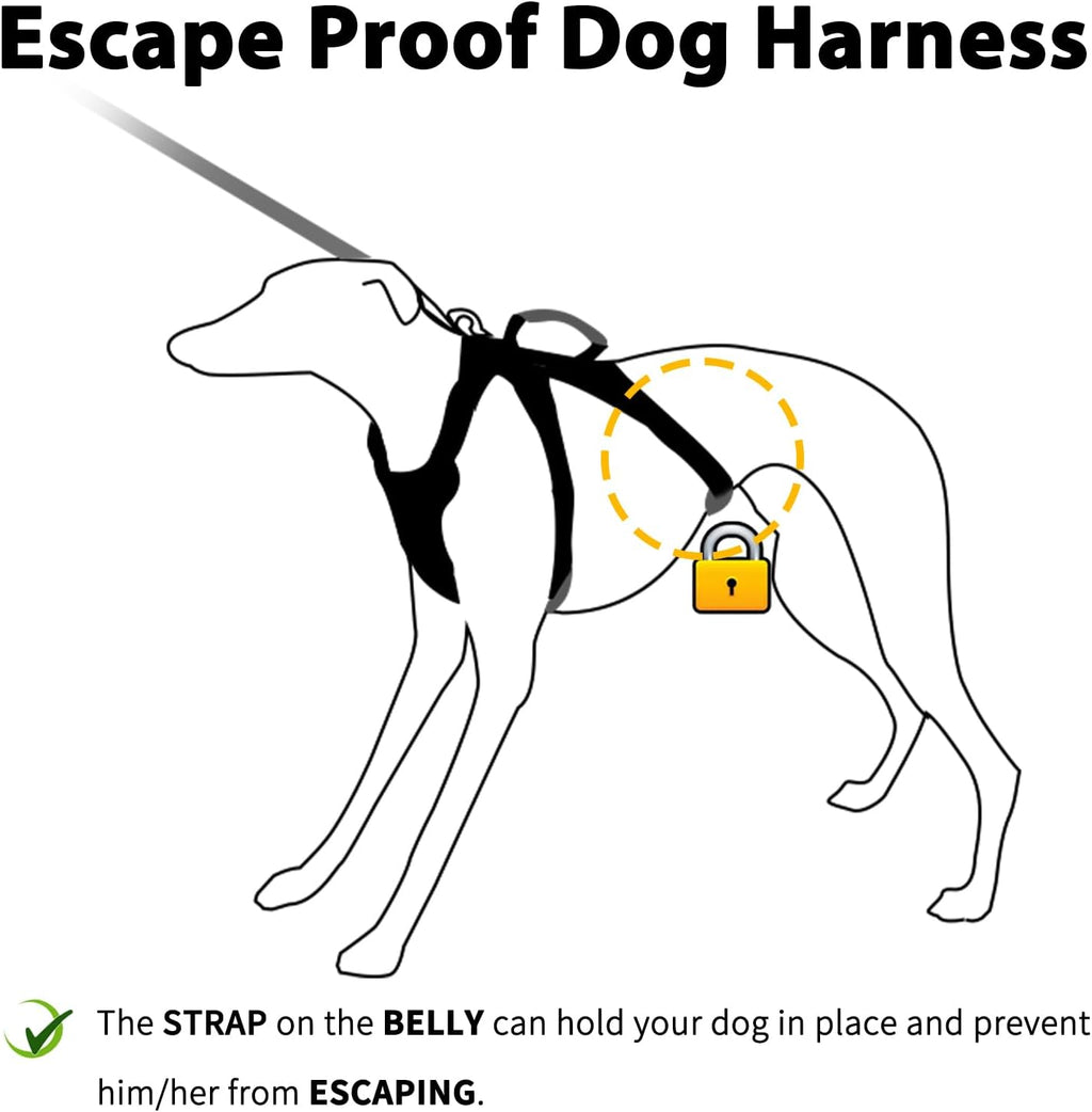 No slip medium dog harness with padded top lift handle