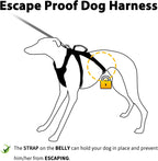 No slip medium dog harness with padded top lift handle