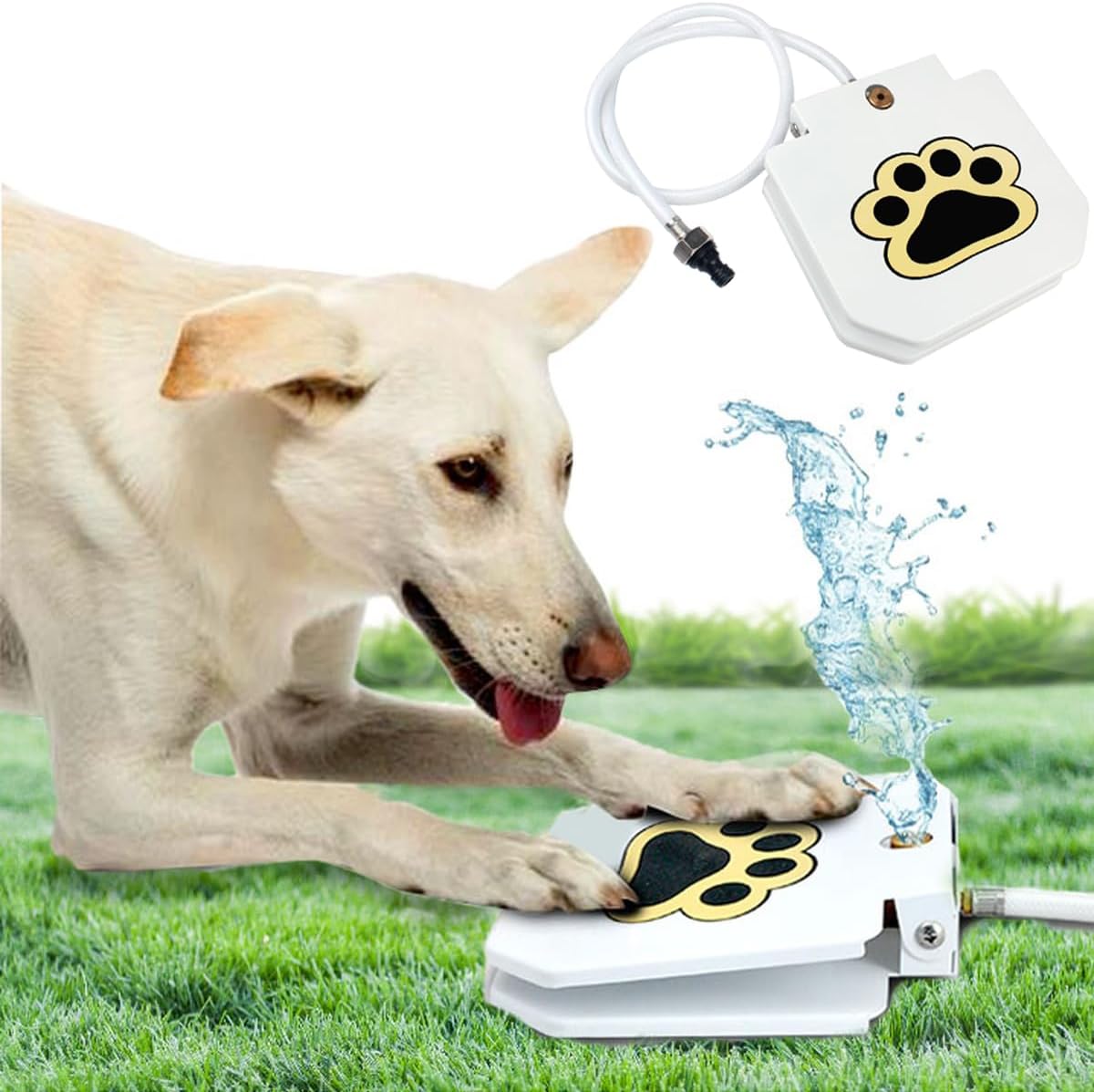 Trio Gato outdoor dog water fountain front view
