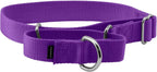 PetSafe Martingale Dog Collar Small, 3/4 Inch, Royal Blue - Image 13