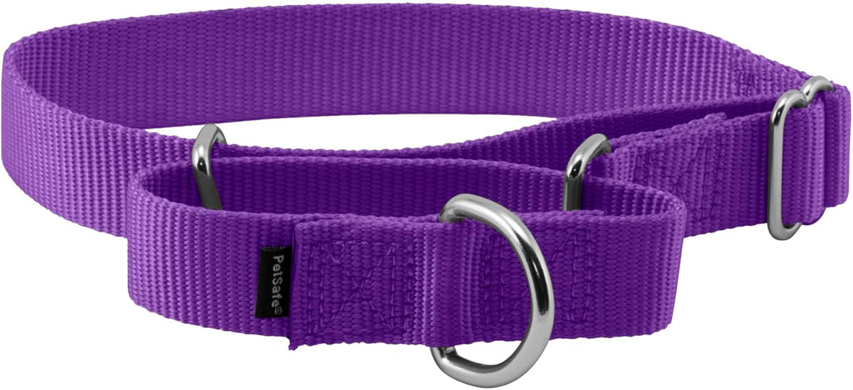 PetSafe Martingale Dog Collar Small, 3/4 Inch, Royal Blue - Image 13