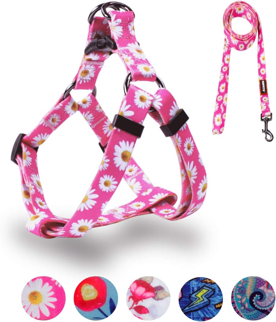QQPETS Dog Harness Leash Set Adjustable Heavy Duty No Pull Halter Harnesses for Small Medium Large Breed Dogs Back Clip Anti-Twist Perfect for Walking - Image 12