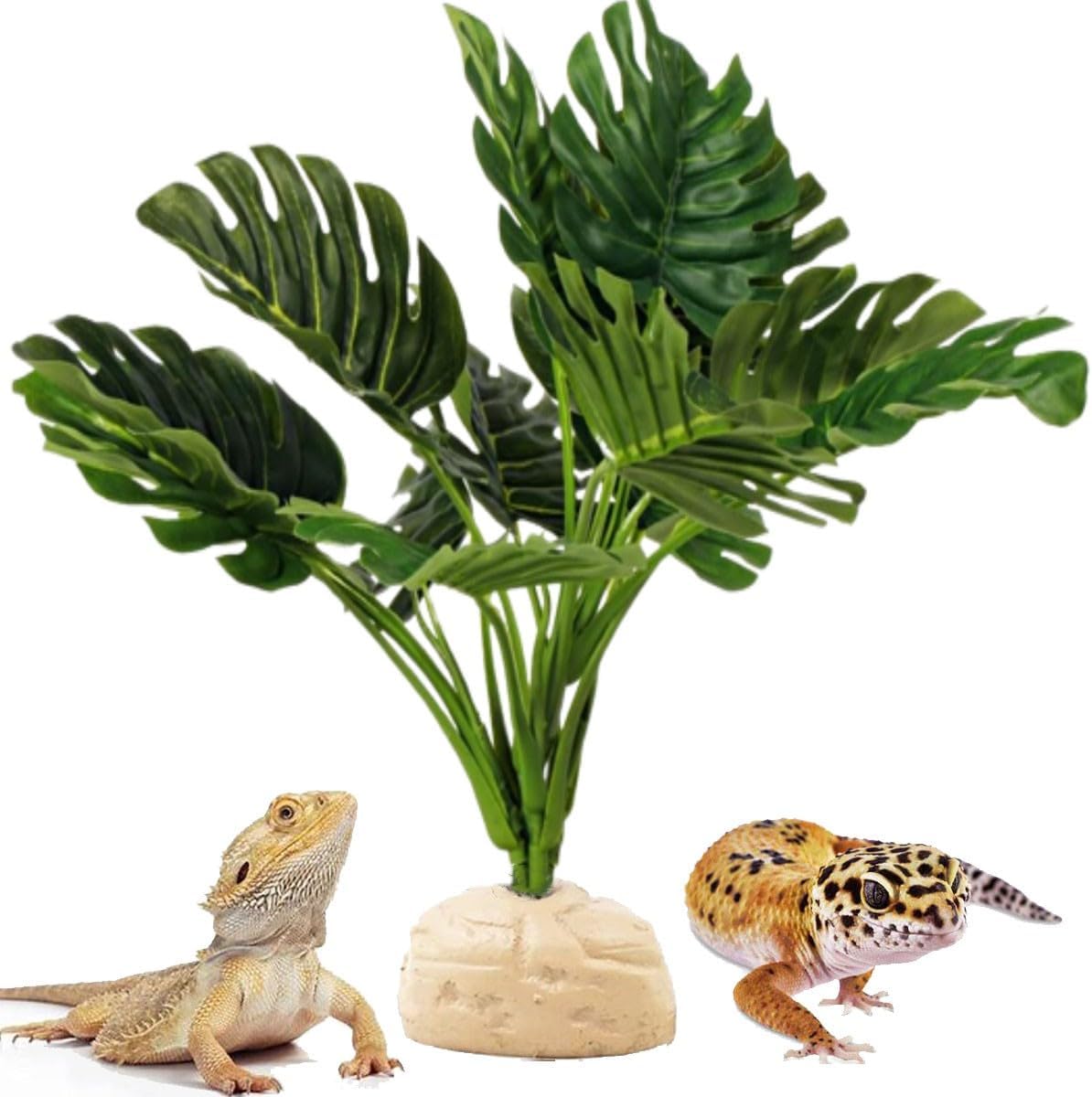 Reptile Terrarium Decor Plants,Amphibian Habitat Decor,Artificial Plants for Tank Accessories (Calathea makoyana -B) - Image 11
