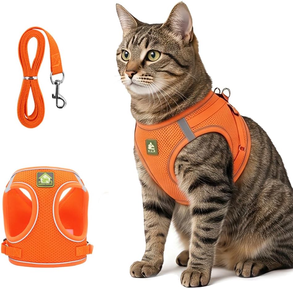 Premium imported cat safety walking harness in medium black color packaging view
