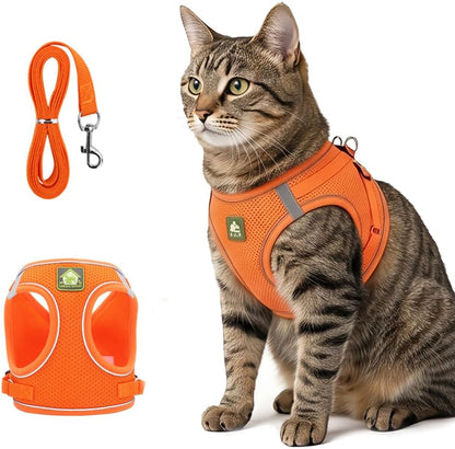 Premium imported cat safety walking harness in medium black color packaging view