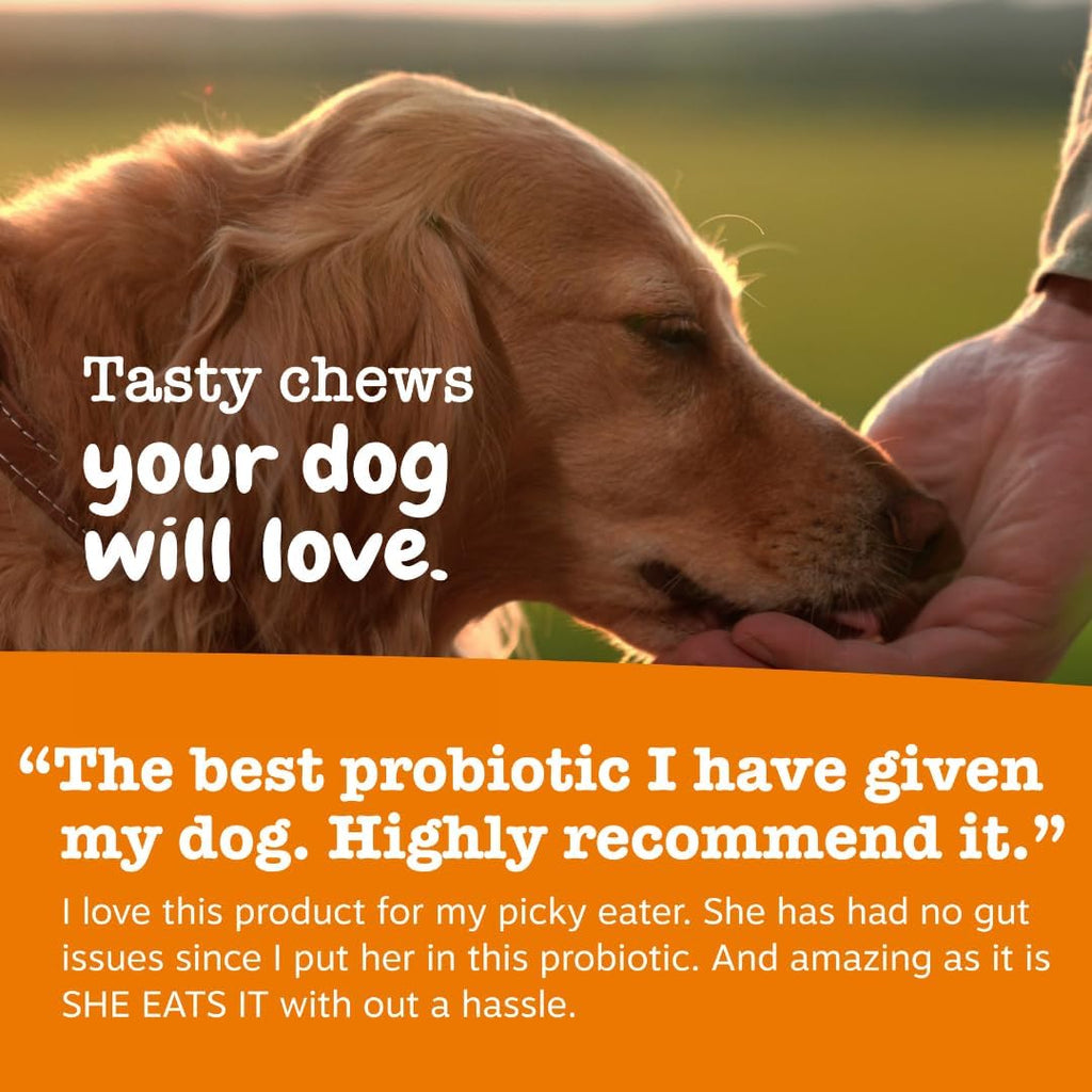 Side view of Zesty Paws digestive health supplement