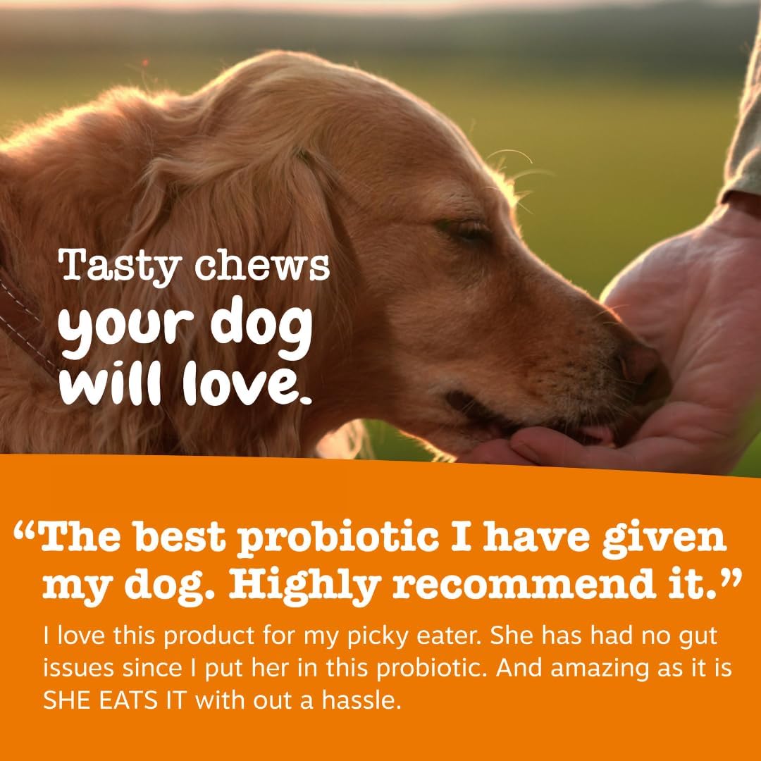 Side view of Zesty Paws digestive health supplement