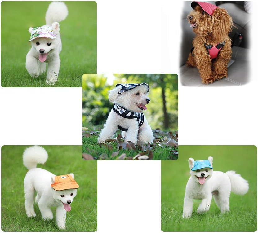Dog wearing leconpet baseball cap for sun protection