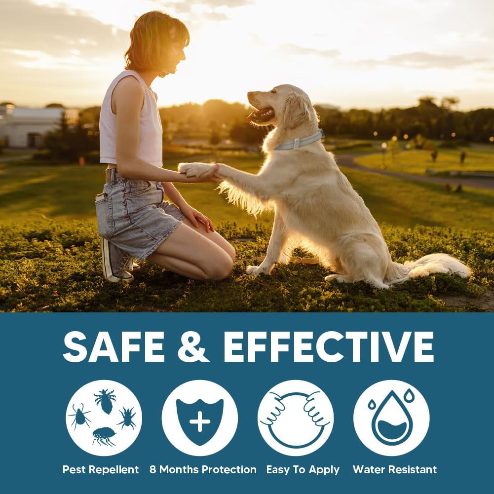 Amdeiur natural flea and tick collar for large dogs
