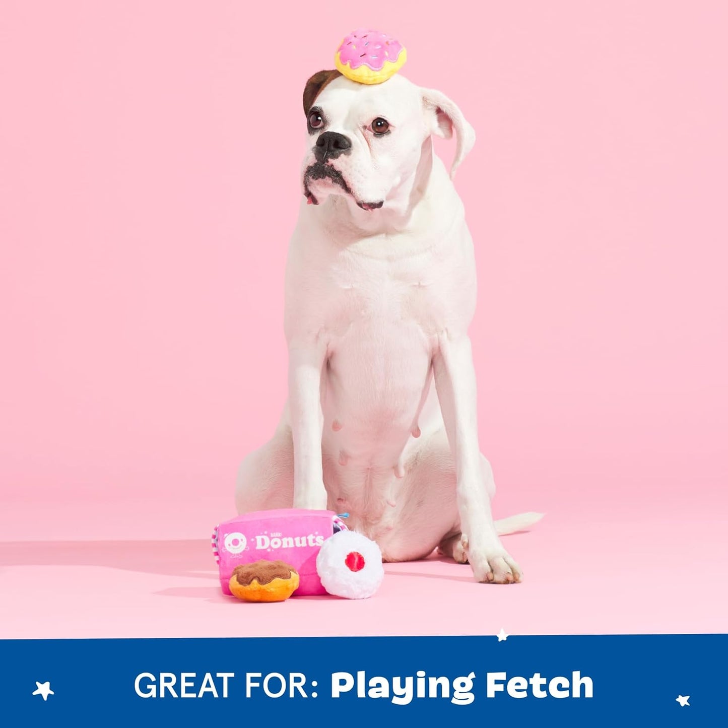 Detailed view of Barkbox donut box toy texture