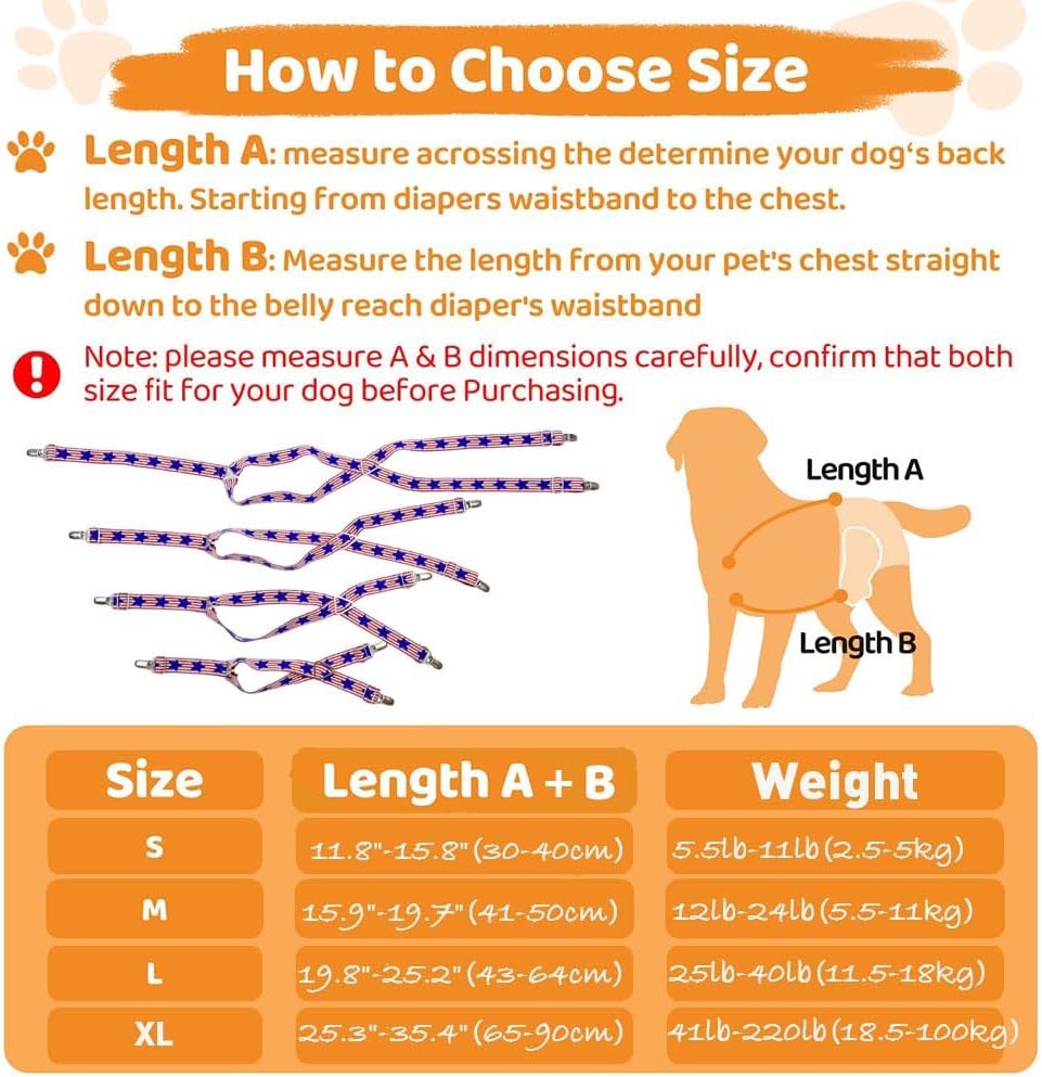 Lamiaraga escape proof dog underwear braces demonstrating length adjustment buckles.