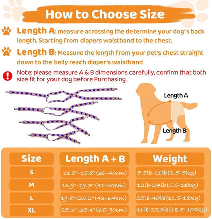 Lamiaraga escape proof dog underwear braces demonstrating length adjustment buckles.