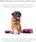 Absorbent wickquick lining inside pet parents large dog diapers