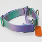 Axdvk durable polyester webbing dog collar close up texture