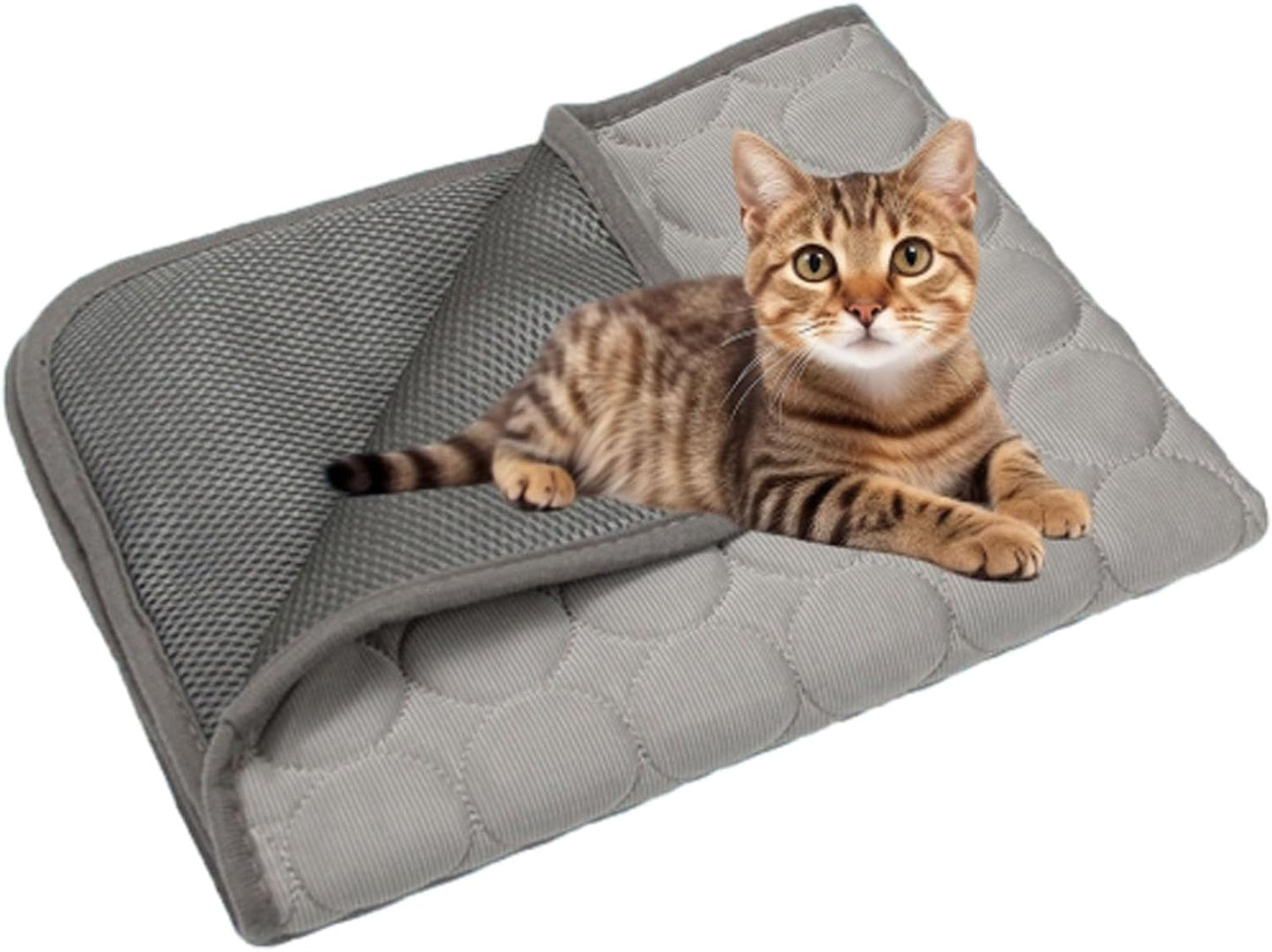 Kittra self cooling cat bed being placed inside a pet travel crate for summer comfort