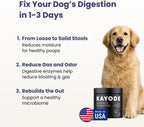 Dog eating Kayode digestion supplement treat