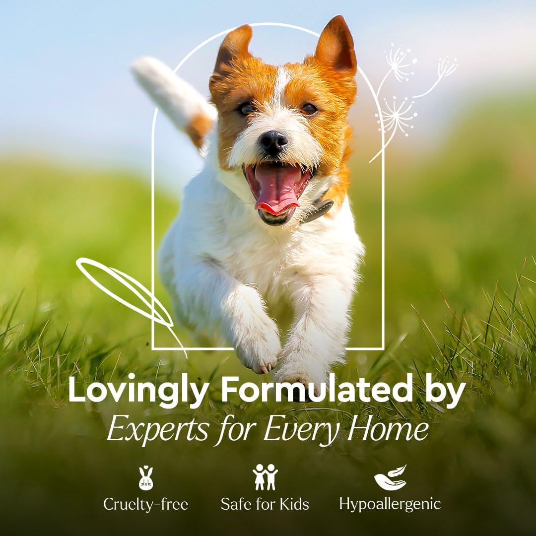 Puracy pet stain remover bottle in home setting