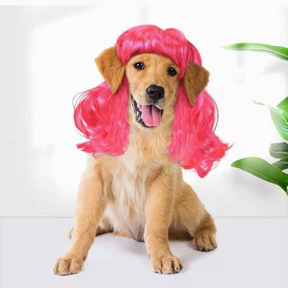 Funny Dog Cat Cosplay Wig,Pet Wigs for Halloween, Christmas, Parties, Festivals, Dog Wigs for Small Medium and Large Dogs Black Brown Straight - Image 10