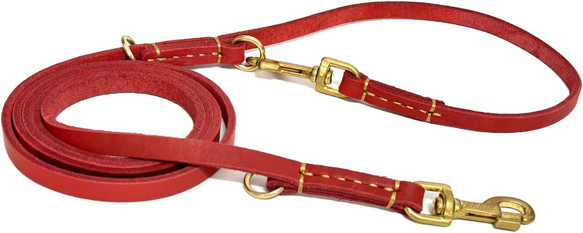Guiding Star leather leash in the short four foot configuration for close control pet training.