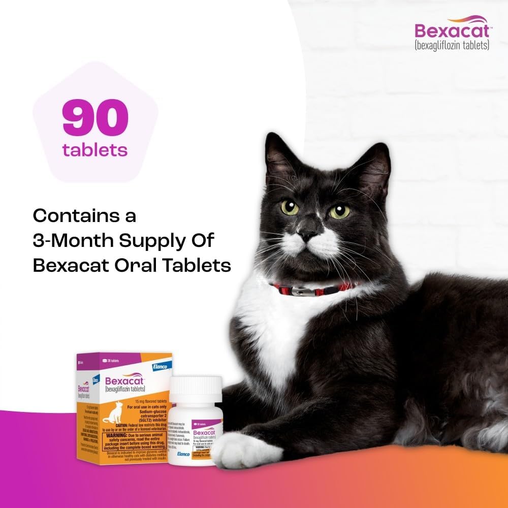 Bexacat (bexagliflozin Tablets) Diabetes Mellitus Treatment for Cats 6.6 lbs & Over | 15 mg Tablets, 30ct - Image 9