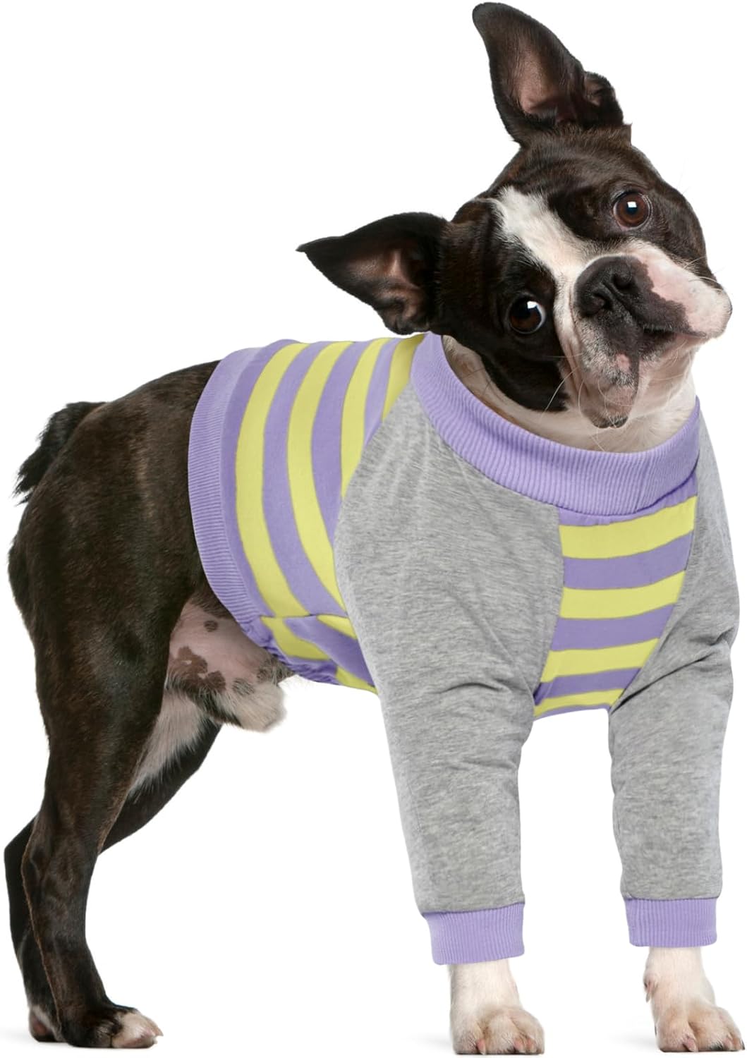 FUAMEY Dog Recovery Sleeve with Elbow Protector,Dogs Shirt Stop Licking Joints,Pet Long Sleeve Suit Protecting Dog's Front Leg Arm Wounds Cover Skin Conditions Blue Stripe XL - Image 11