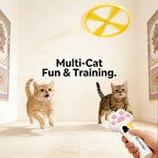 Soft foam flying discs safe for feline teeth and indoor home furniture protection