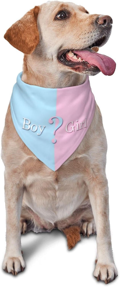 Vercosee he or she gender reveal dog bandana blue front view on a pet
