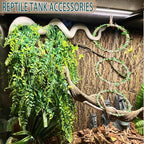 Snake Climbing Rings for Ball Python- Enclosure Accessories - Reptile Habitat Decor, Climbing Branches & Bedding for Ball Python, for Corn Snake Enhancement Ring Toys - Image 4