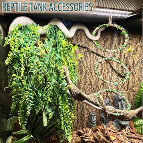 Snake Climbing Rings for Ball Python- Enclosure Accessories - Reptile Habitat Decor, Climbing Branches & Bedding for Ball Python, for Corn Snake Enhancement Ring Toys - Image 4