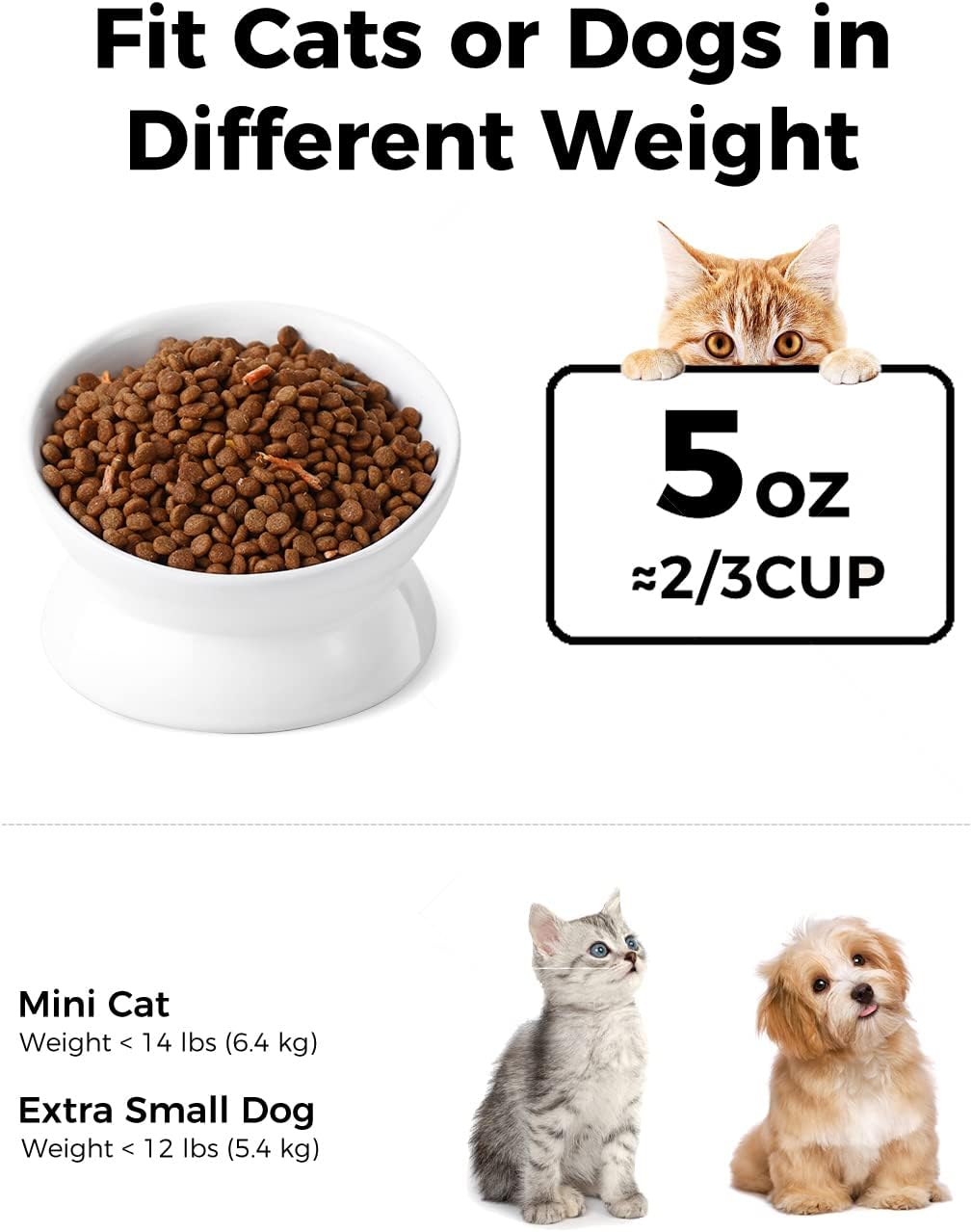 LoeJan raised cat dish angle perspective