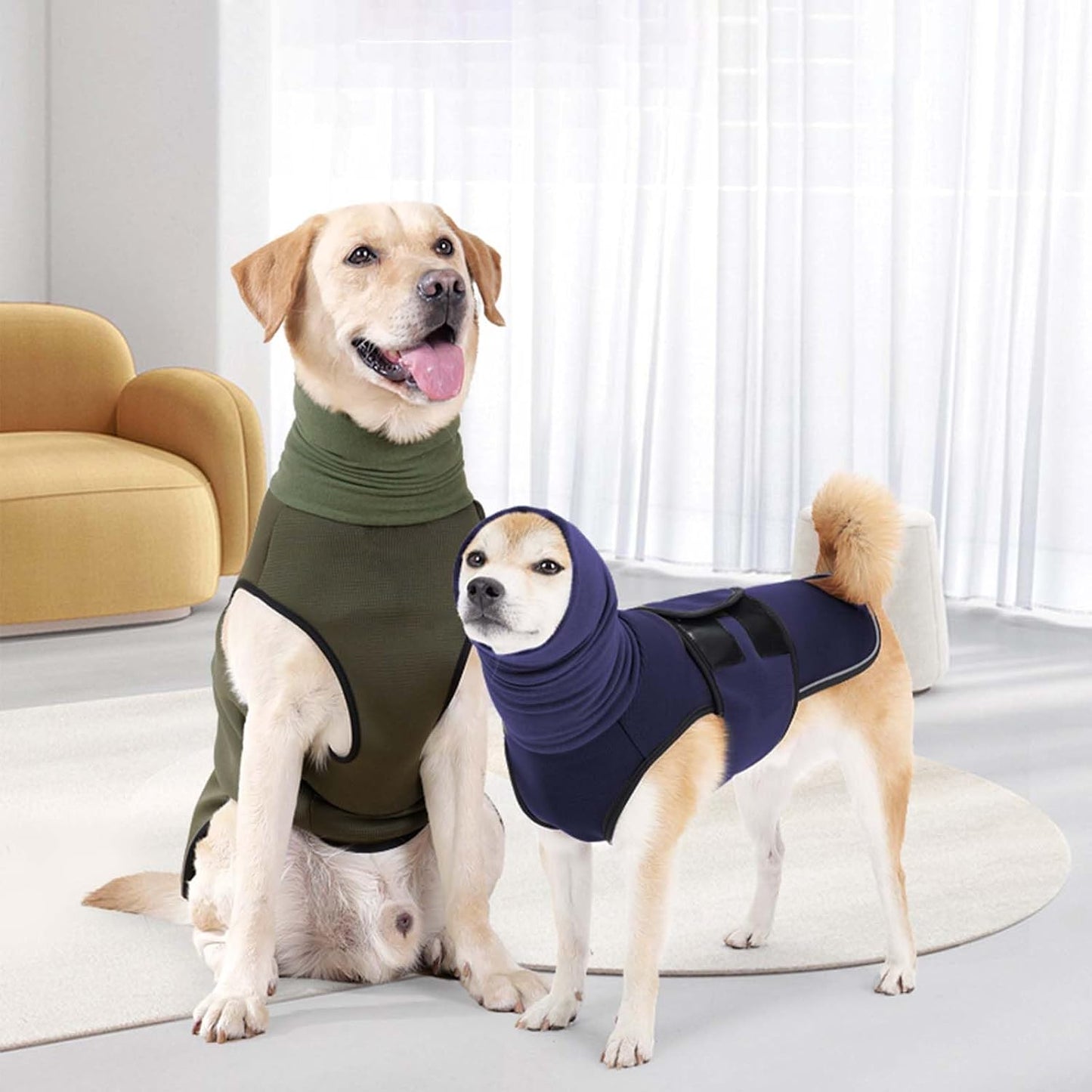 Authentic ROZKITCH dog anxiety jacket for grooming and vet visit stress