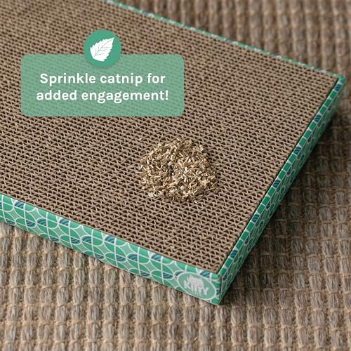 Kitty City packaging and eco-friendly cat scratcher details